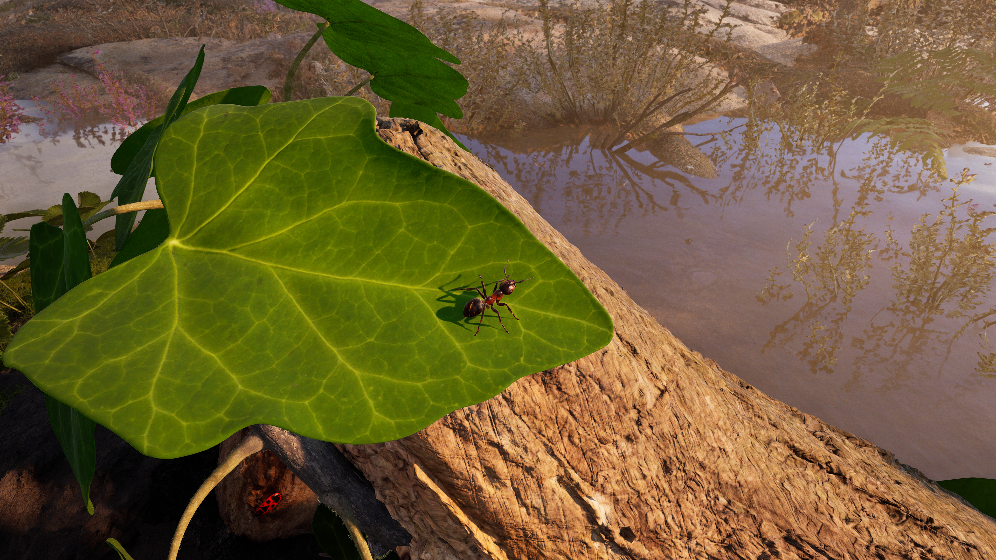 Empire of the Ants