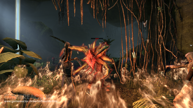 The Elder Scrolls Online