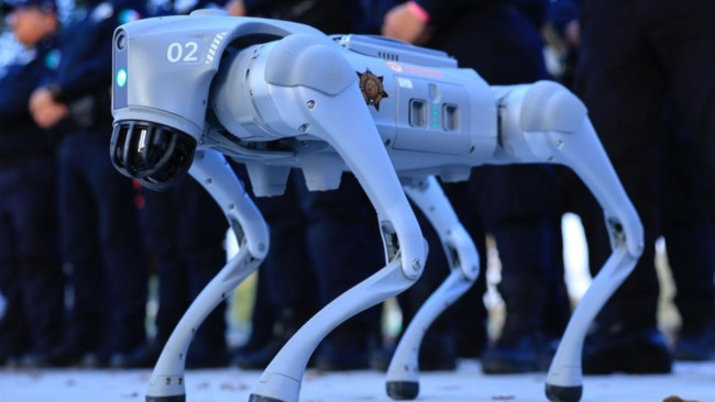 Roboterhunde werden die Weltmeisterschaft 2026 bewachen