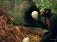 Video zeigt erste Schritte und gro&szlig;e Spr&uuml;nge in Ancestors: The Humankind Odyssey