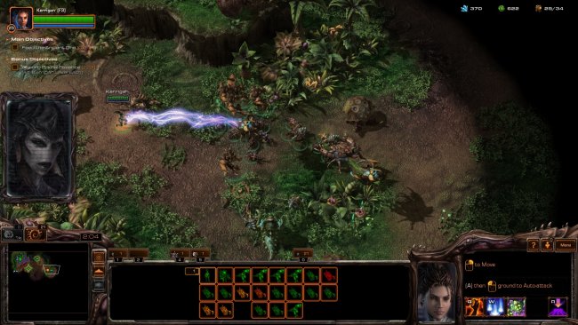 Starcraft II: Heart of the Swarm