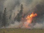 In Washington wird der Ausnahmezustand ausgerufen, w&auml;hrend Waldbr&auml;nde durch die US-Region ziehen
