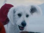 Der Hund von Superman erhöht die Suche nach Rettungshunden um satte 513 %