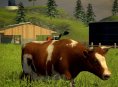 Larian Studios bringt Cow Simulator 2014