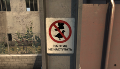 Related Image
