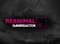 Wir spielen Reanimal heute bei GR Live