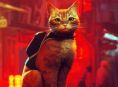 Stray bekommt einen Animationsfilm