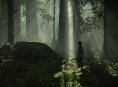 Bluepoint versteckt Easter Egg in Shadow of the Colossus