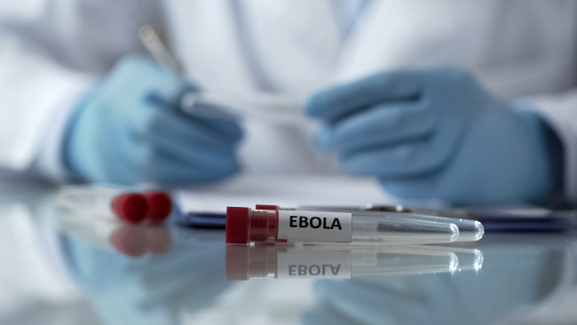 Die Weltgesundheitsorganisation schätzt, dass ein Impfstoff gegen den neuesten Ebola-Stamm neun Monate brauchen könnte, um fertig zu sein