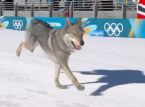 Der &ouml;rtliche brave Junge Nazg&ucirc;l st&uuml;rzt bei den Olympischen Spielen in ein Skirennen: Er ist "stur, aber sehr lieb"