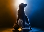 Air Bud ist zur&uuml;ck - neuer Film feiert n&auml;chstes Jahr Premiere
