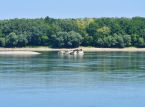 Gesunkene Nazi-Kriegsschiffe tauchen nach Rekordtiefwasserst&auml;nden in der Donau wieder auf.