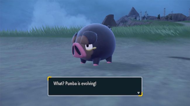 Pokémon Karmesin/Purpur