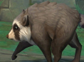 Der virale Waschb&auml;r Jimothy kommt zu World of Warcraft 