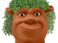 Ein Chia Pet Film oder Serie ist in Arbeit