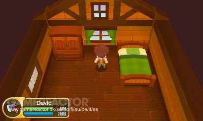 Fantasy Life