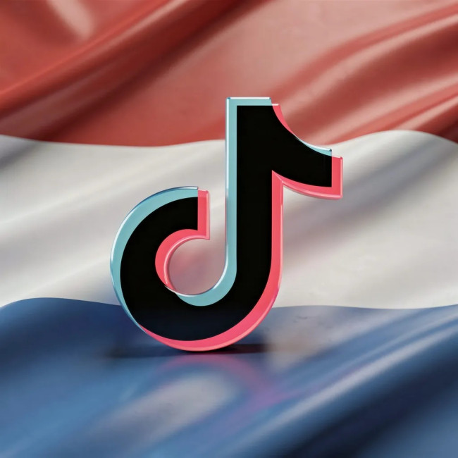 Niederlande verhaften 15 Personen wegen Propaganda des Islamischen Staates auf TikTok