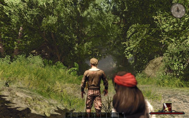 Risen 2: Dark Waters