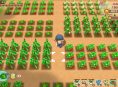 Story of Seasons: Friends of Mineral Town