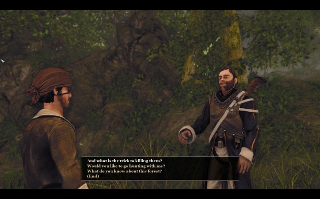 Risen 2: Dark Waters