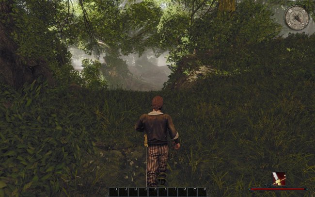 Risen 2: Dark Waters