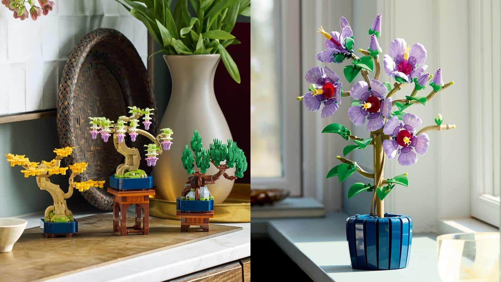 Lego erweitert Botanicals Kollektion mit zwei neuen Sets