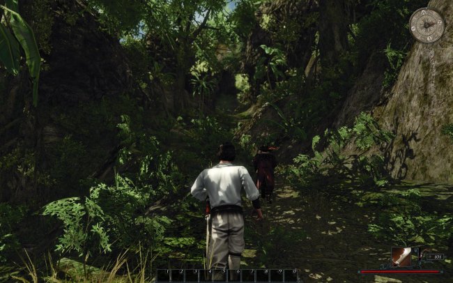 Risen 2: Dark Waters