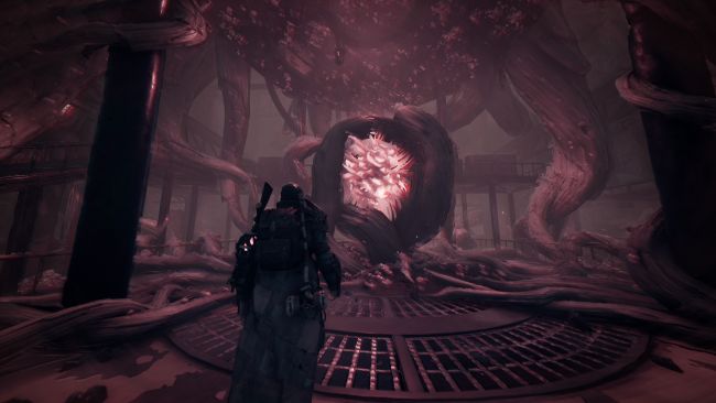 Remnant: From the Ashes