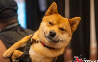 Tekken 8 Spieler nimmt Live-Turnier mit Hundetrainer auf dem R&uuml;cken teil