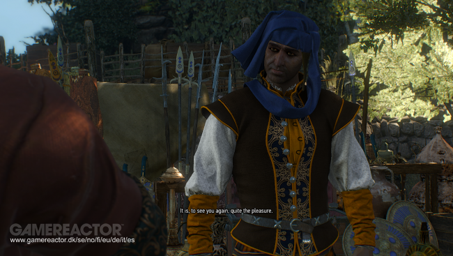 The Witcher 3: Wild Hunt