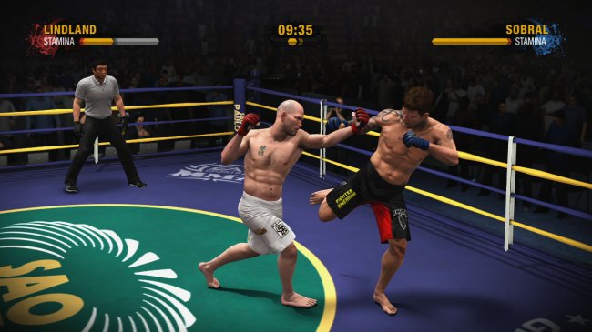 EA Sports MMA
