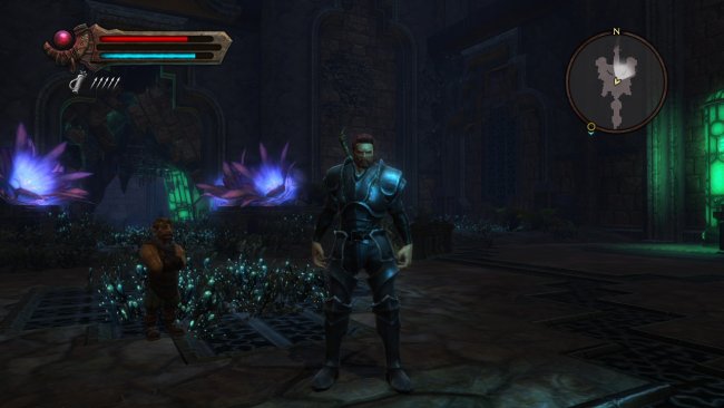 Kingdoms of Amalur: Reckoning