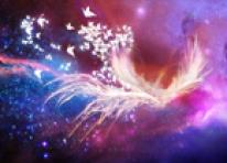 Do you wanna Kinect?