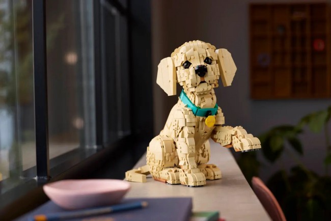 Lego präsentiert ein niedliches Golden Retriever Welpenset