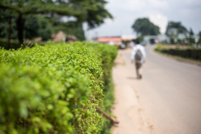 50 von 300 katholischen Schulschülern, die in Nigeria entführt wurden, schaffen die Flucht (etwa 250 sind noch gefangen)