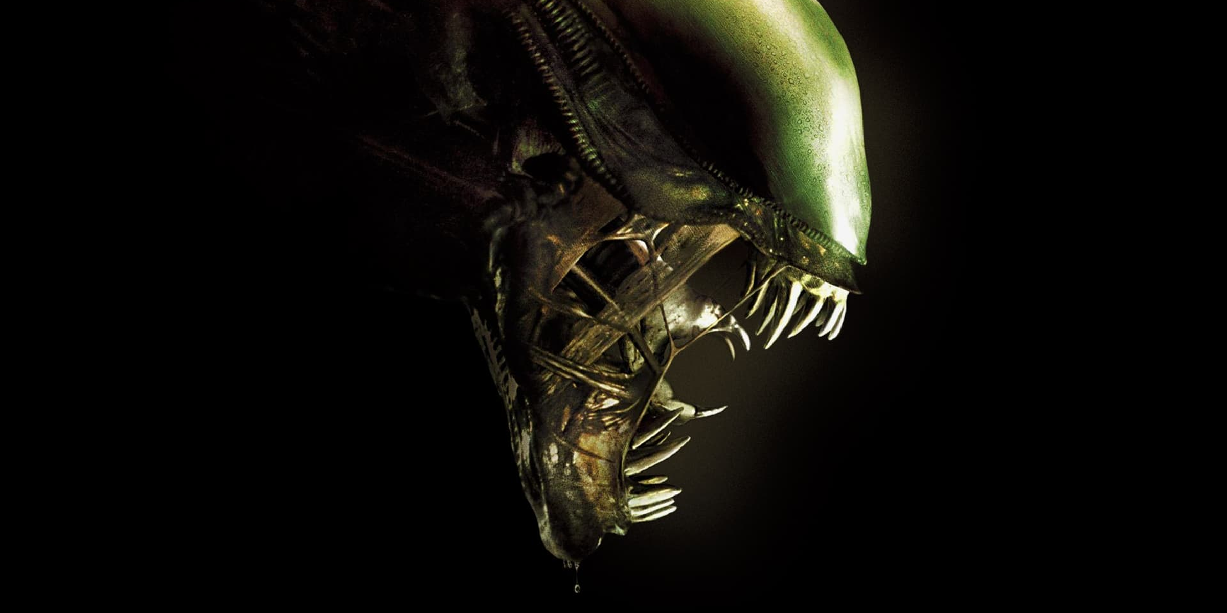 Der erste Blick auf den kommenden Alien-Film gibt uns einen Einblick in