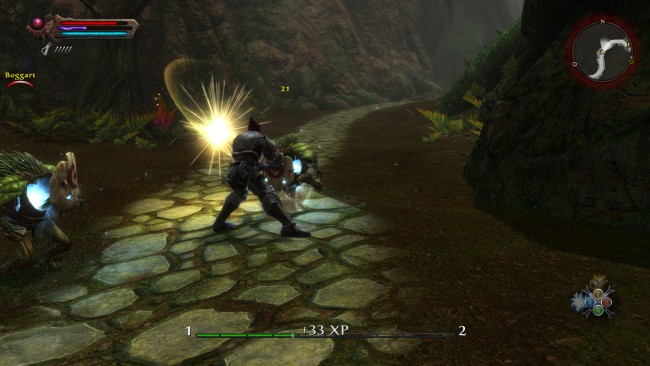 Kingdoms of Amalur: Reckoning