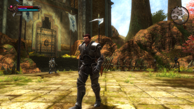 Kingdoms of Amalur: Reckoning