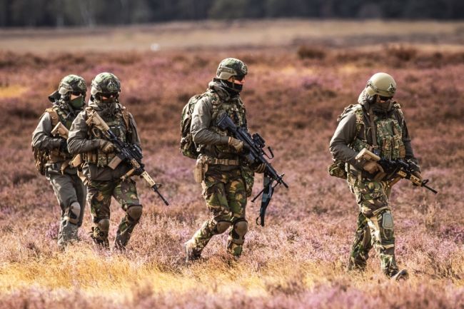 Niederlande stärken Verteidigung mit großen militärischen Investitionen