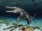 Pal&auml;ontologin nennt den neuen Mosasaurierfund 'T. rex' - und das aus gutem Grund