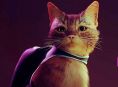 Stray schnurrt im August auf Xbox One und Xbox Series