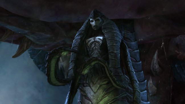 Starcraft II: Heart of the Swarm