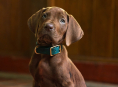 Scooby-Doo wird ein echter Hund in Netflix s Live-Action-Prequel-Serie Scooby-Doo: Origins sein