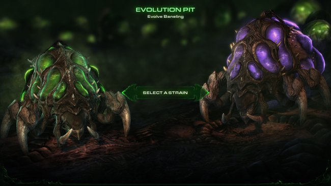 Starcraft II: Heart of the Swarm
