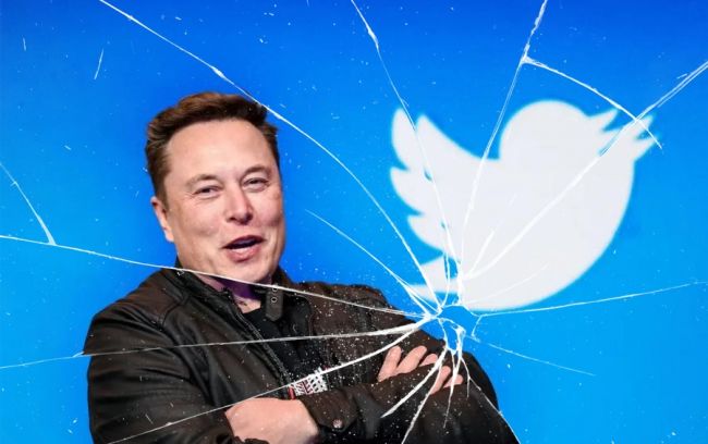 Das Premium-Modell von X kostet 168 £ pro Jahr