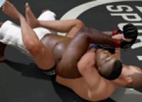 EA Sports MMA