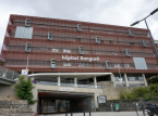 Franz&ouml;sisches Krankenhaus evakuiert, nachdem w&auml;hrend einer Operation eine Artilleriegranate im Enddarm des Patienten gefunden wurde
