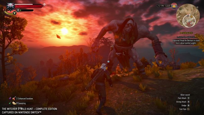 The Witcher 3: Wild Hunt