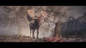 Soulframe - Official Cinematic Reveal