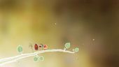 Botanicula - Teaser